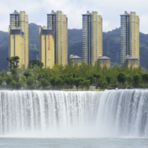 Ecological States: A Book Forum