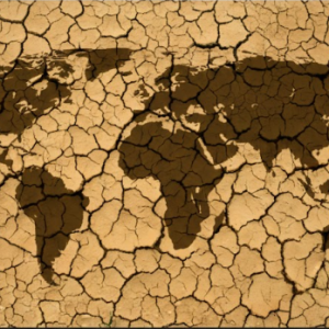 “Global Asias and the Anthropocene” Symposium