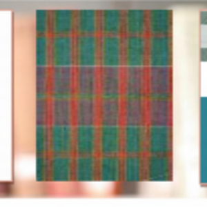 DIGITAL HUMANITIES: SOUTH ASIA & BEYOND